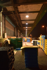 魚市場