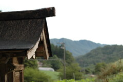 祠