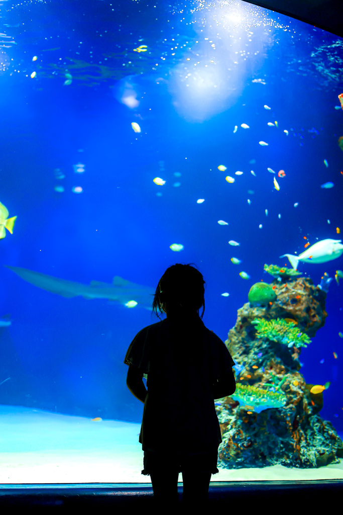 マリホ水族館