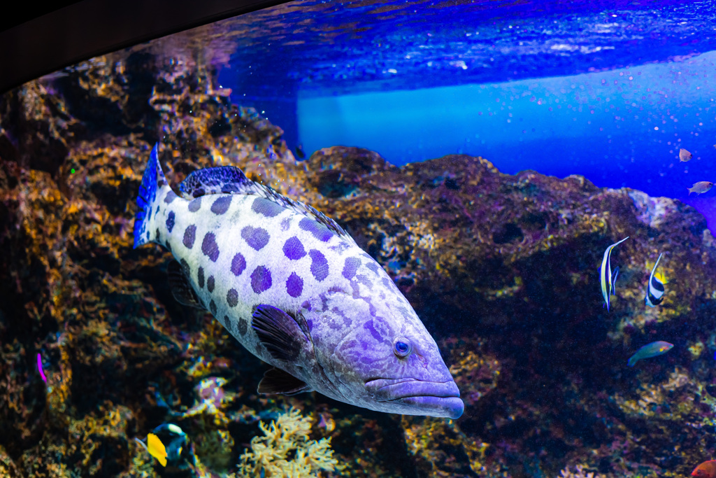 マリホ水族館(2)