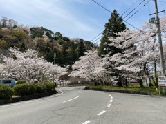 山道。