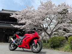 春のツーリング。