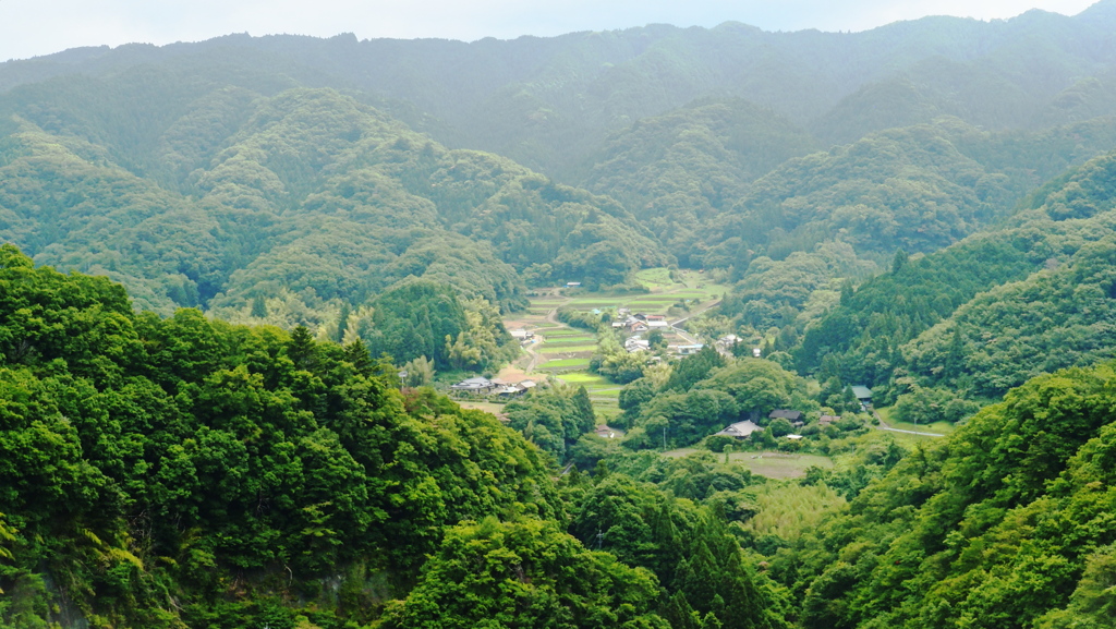 橋の上から