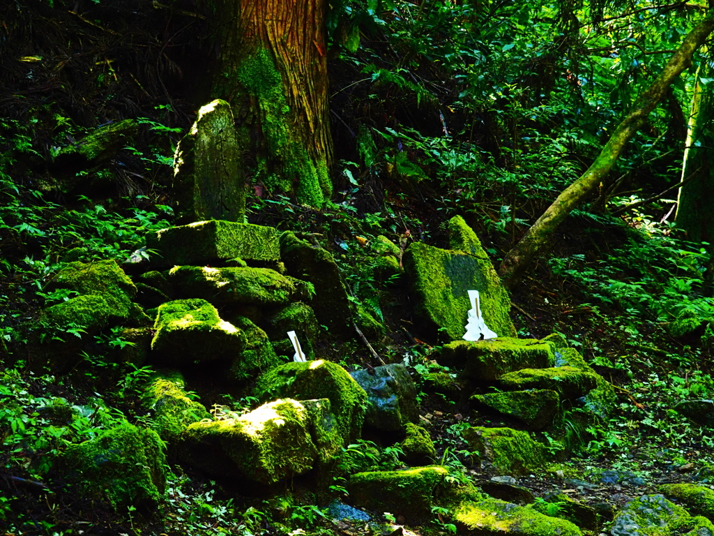 山道にて