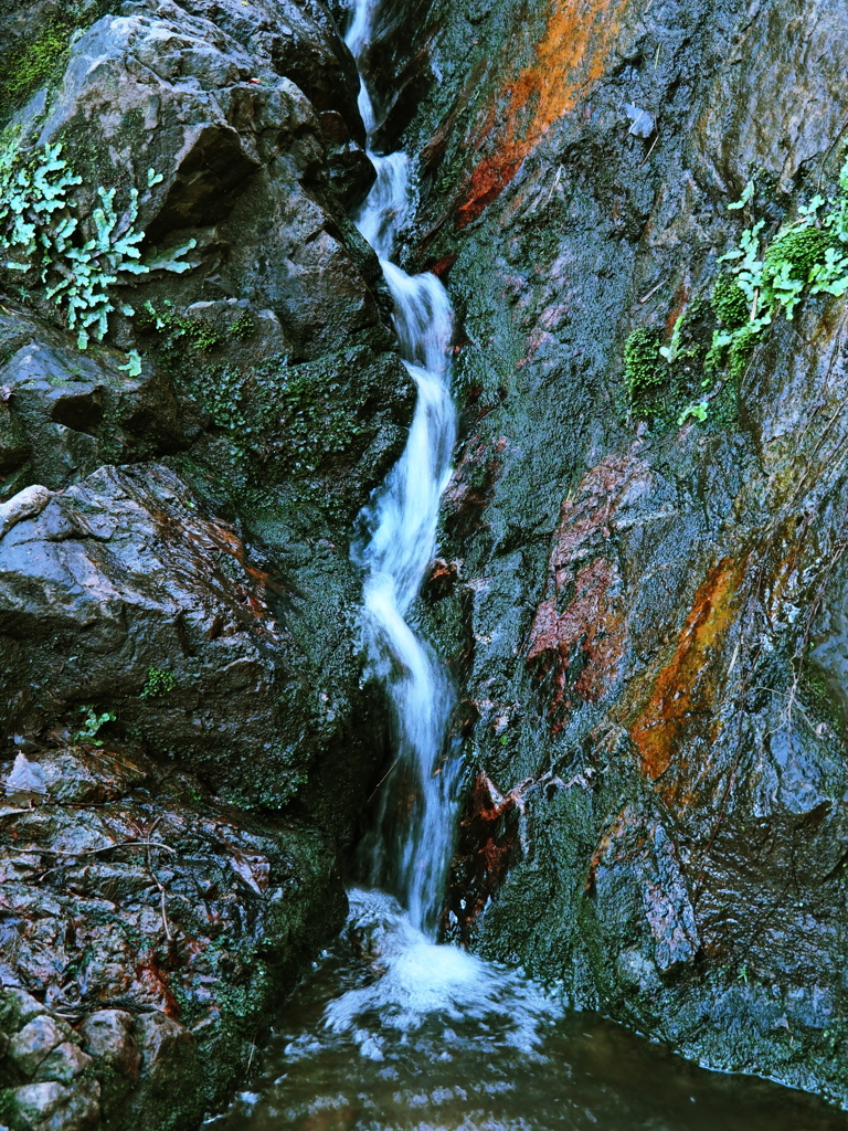 小木津自然公園：いしくぼの滝