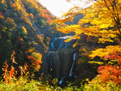 袋田の滝：秋