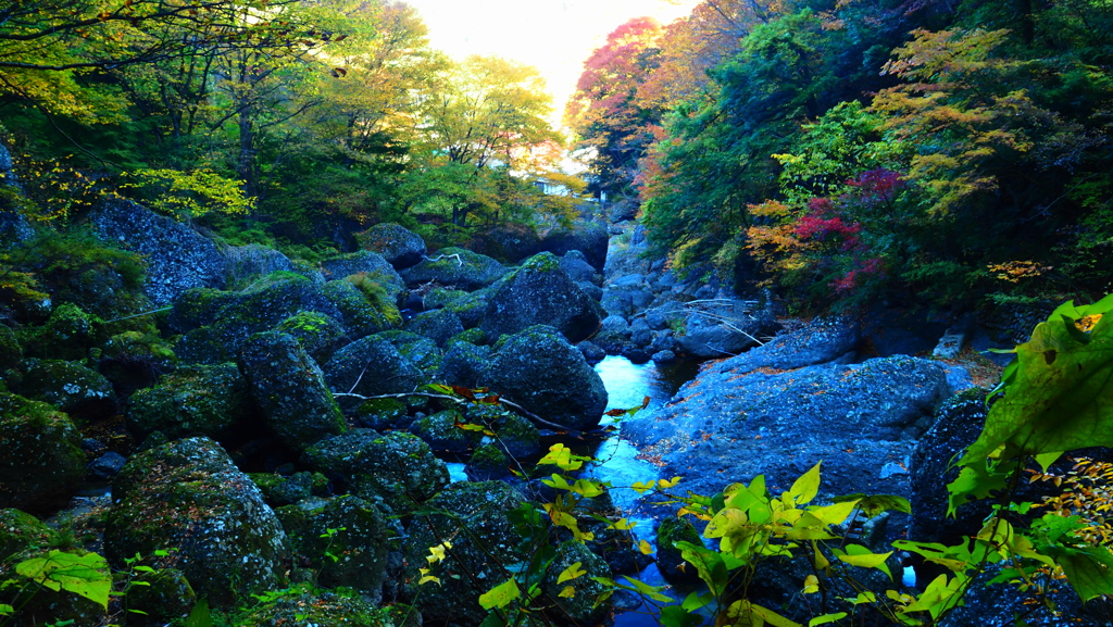 袋田の滝：渓流