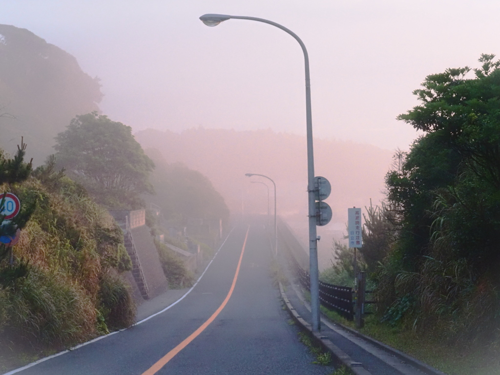 霧の道