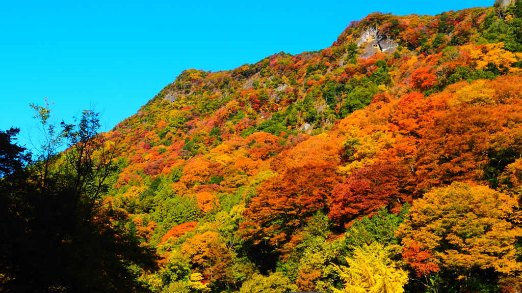 立神山：遠景