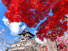 天守閣と紅葉