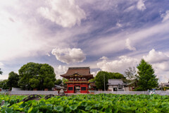 梅雨の晴れ間