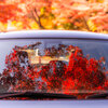 紅葉ドライブ