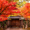 葵松庵城南亭の紅葉