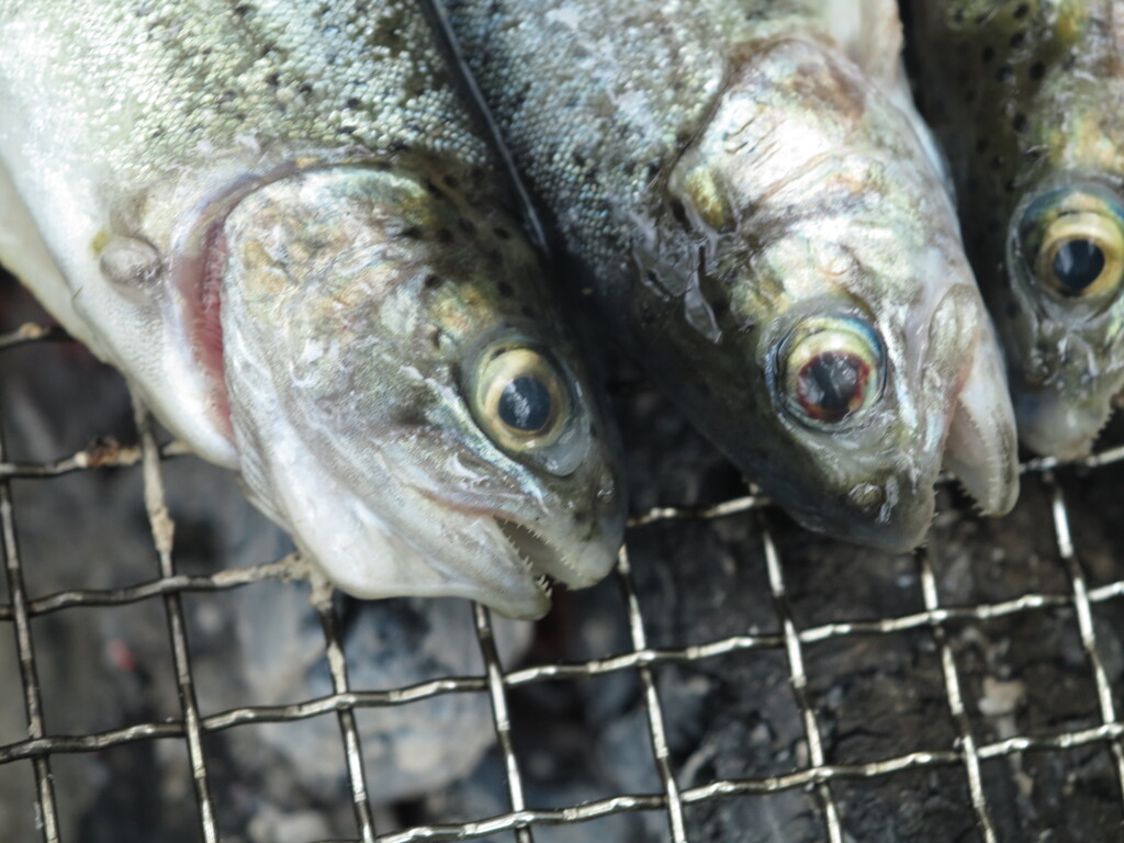 鮮