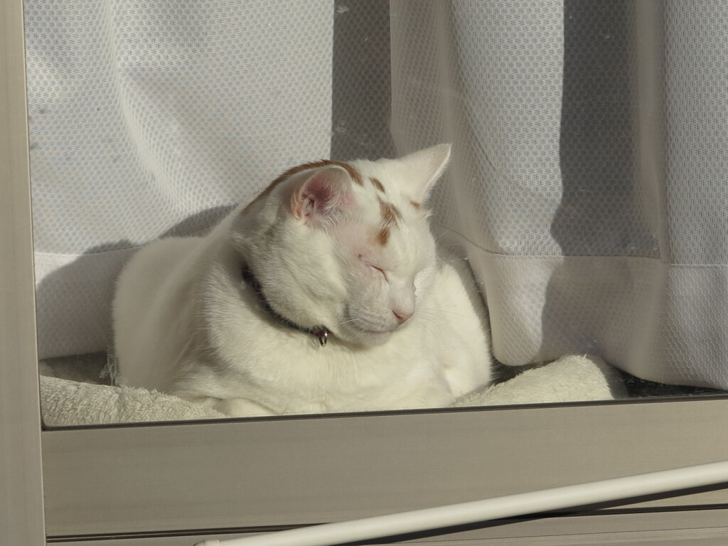 心も温まる