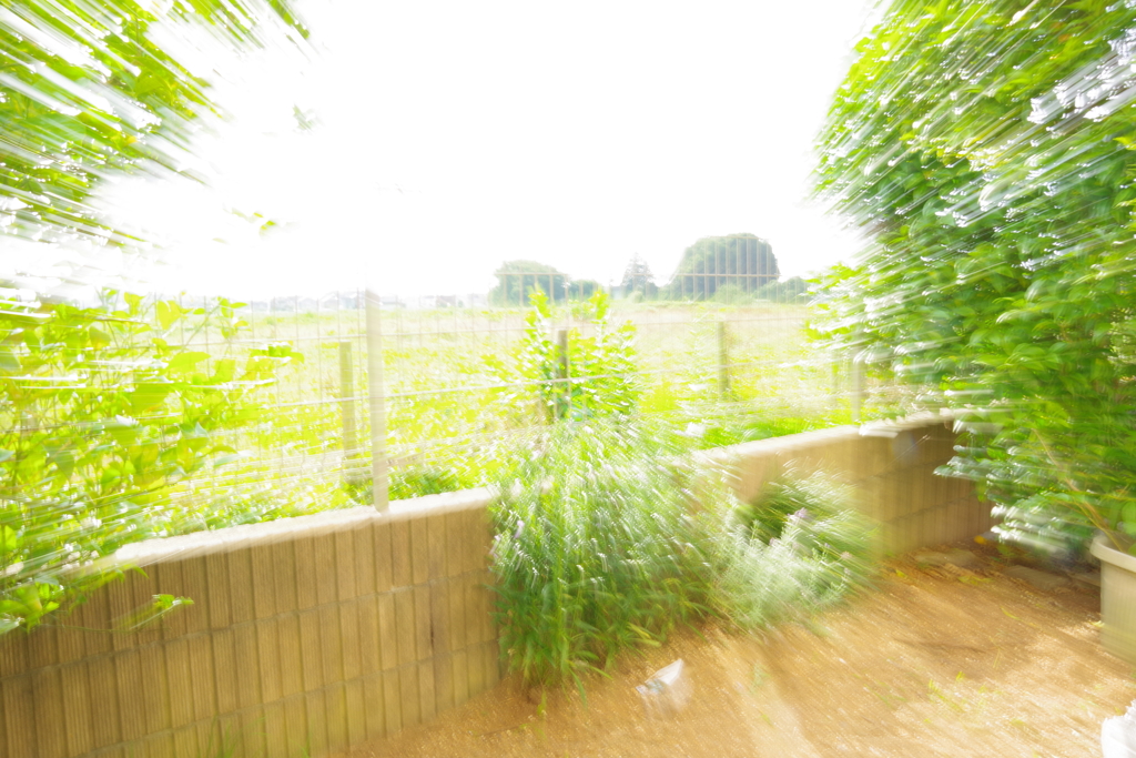 ココにしかない何かではなくココにしかない何かを