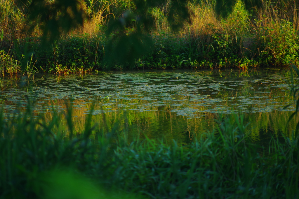 Tokina70-210mmF3.5