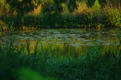 Tokina70-210mmF3.5