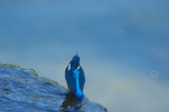 IMGP0877