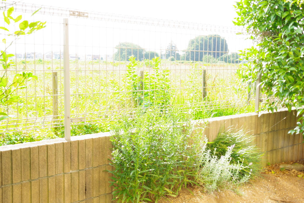 ココにしかない何かではなくココにしかない何かを