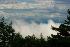 雲海