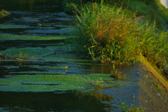 Tokina70-210mmF3.5