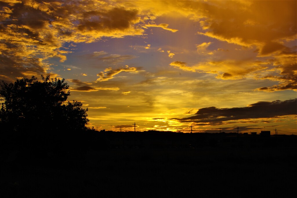陽が出る少し前