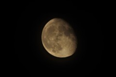 昨夜の月