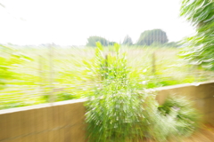 ココにしかない何かではなくココにしかない何かを