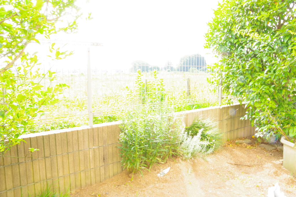ココにしかない何かではなくココにしかない何かを