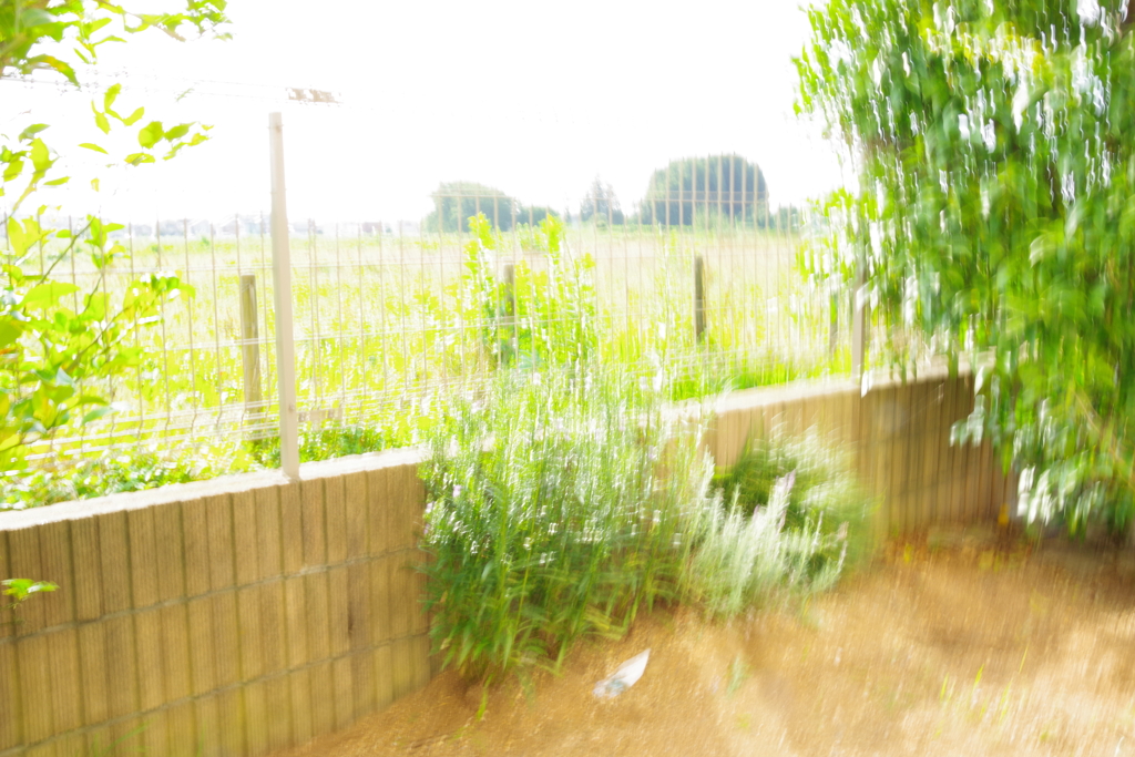 ココにしかない何かではなくココにしかない何かを