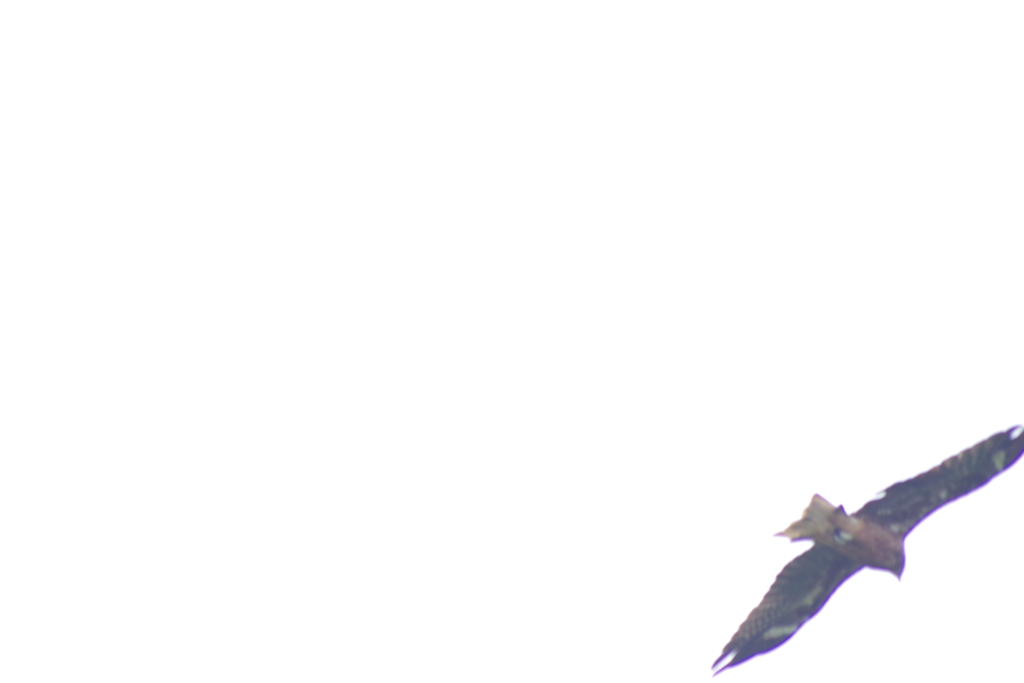 まさか？