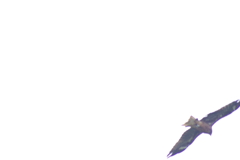 まさか？