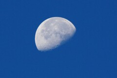朝5時半の月