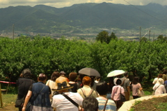ぞろぞろ