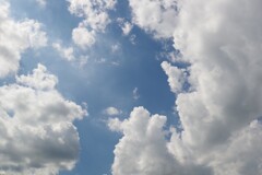 ある晴れた日の