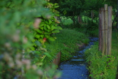 水路が主