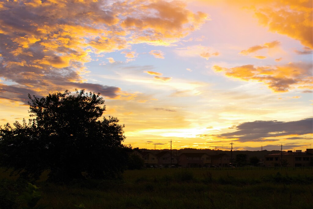 朝焼けって好き。