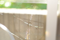 Takumar55mmF1.8