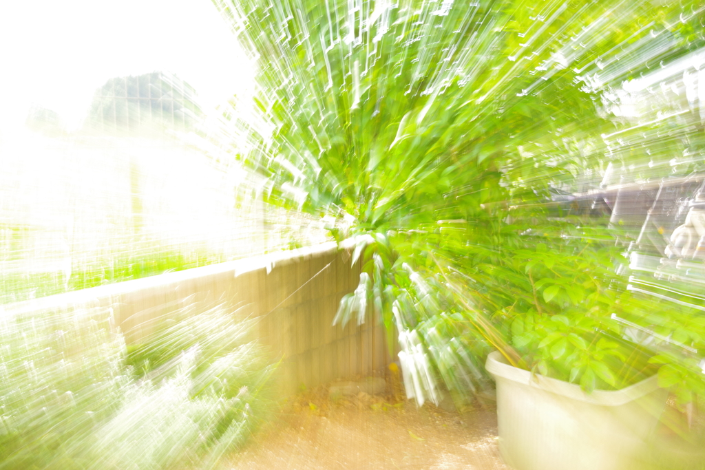 ココにしかない何かではなくココにしかない何かを