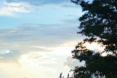 空が目で見るよりきれいに映る・・・。