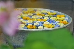 花手水