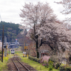 鉄道と桜