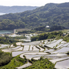 大浦の棚田