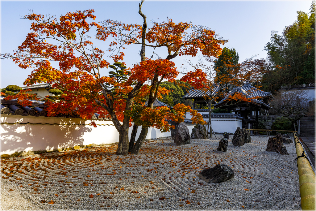 晩秋の古刹