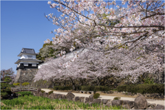 桜咲く玖島城址