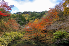 紅葉狩り