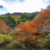紅葉狩り