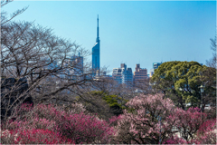 街中の梅園