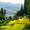 里山の秋1